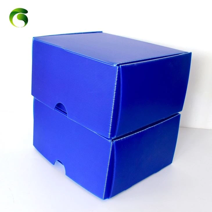 PP Plastic Corflute HSC Danpla Box