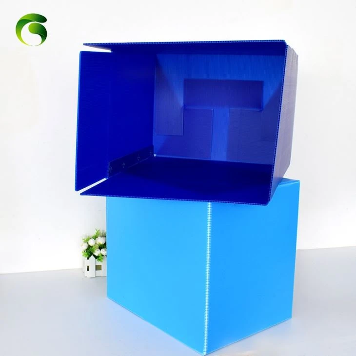 PP Plastic Corflute HSC Danpla Box